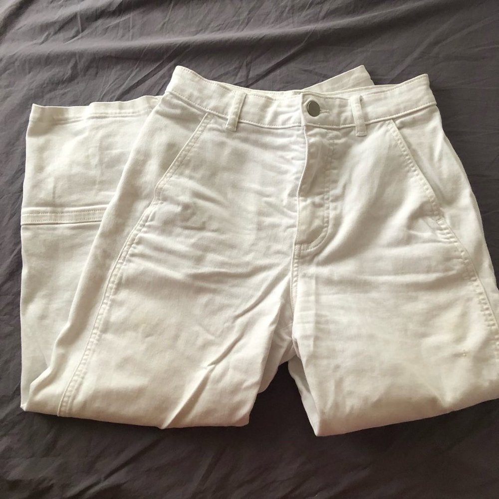Everlane Utility Barrel Pants Size 2